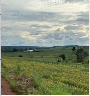Dom Eliseu - Area Rural de Dom Eliseu