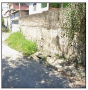 Colubande