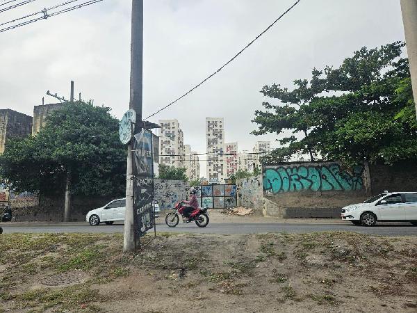 Pavuna