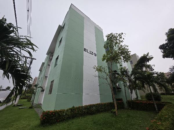 JARDIM PARADISO ALPINIA
