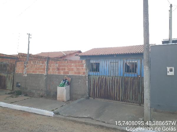 Girassol