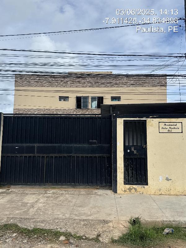 Pau Amarelo