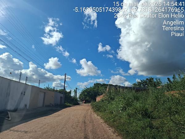 Angelim