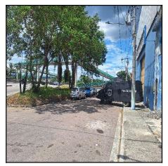 Jardim Catarina
