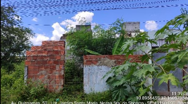 Jardim