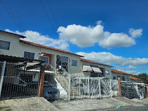 Pacheco