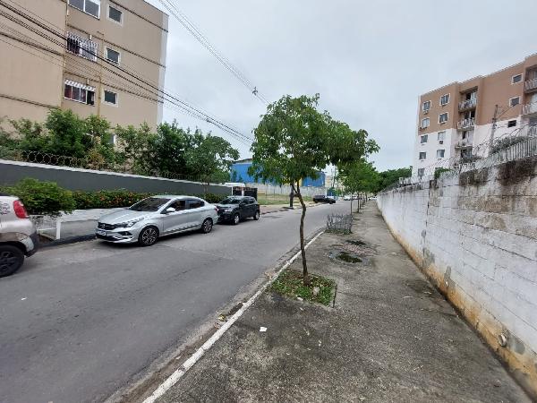 Pavuna