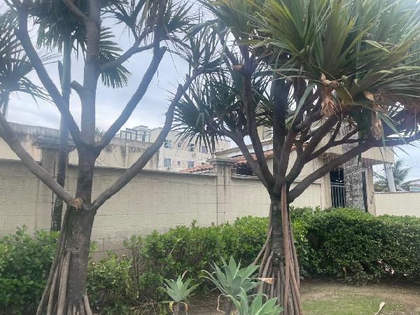 Anchieta