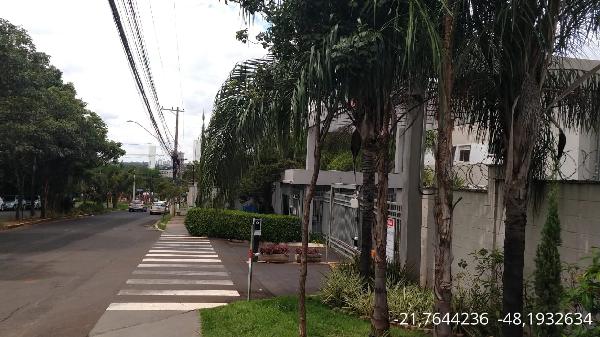 VITTA IPE AMARELO