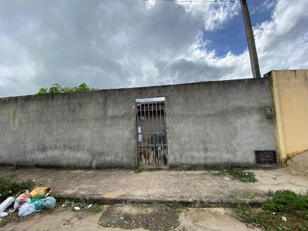 Pau Brasil