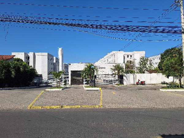 Pacheco