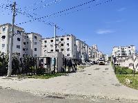 Santa Cruz