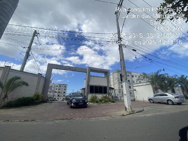 Jardim Das Margaridas