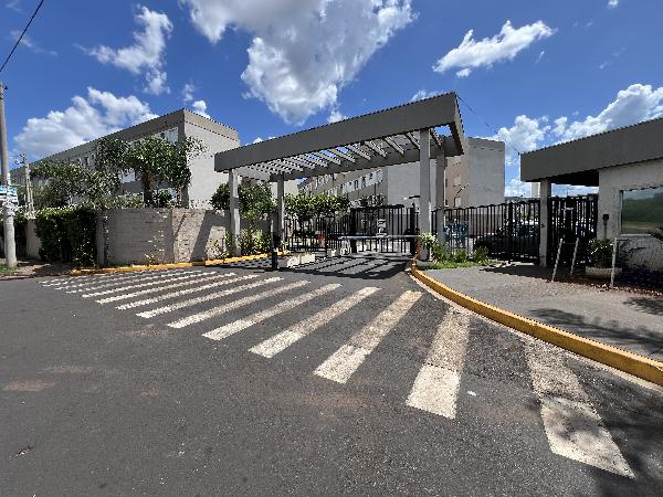 RIBEIRAO PRETO - Valentina Figueiredo